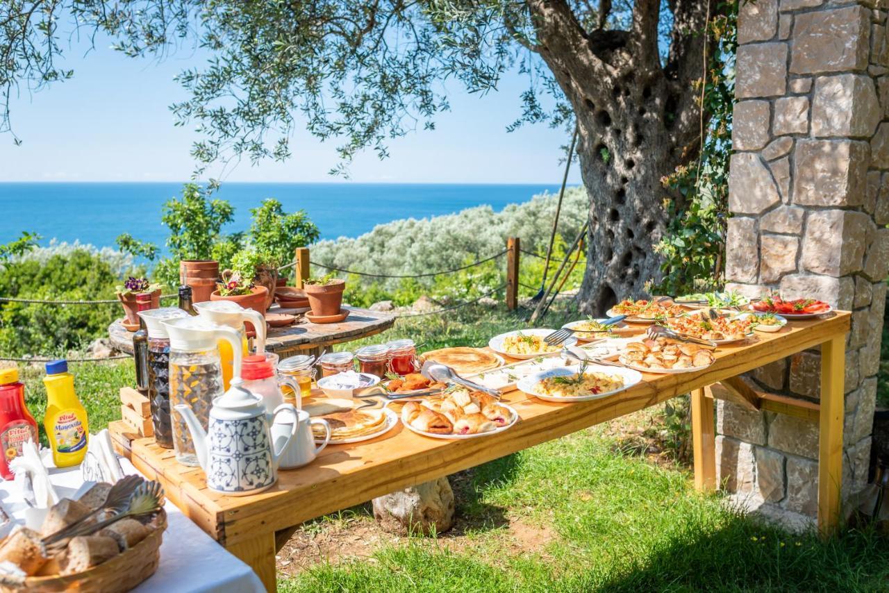 Holiday Park Olive Tree Ulcinj Exteriér fotografie