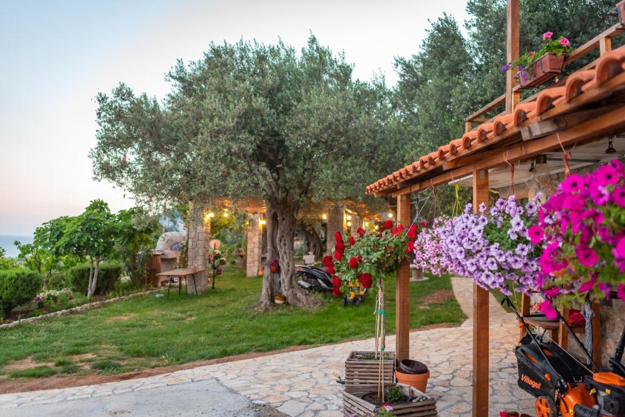 Holiday Park Olive Tree Ulcinj Exteriér fotografie