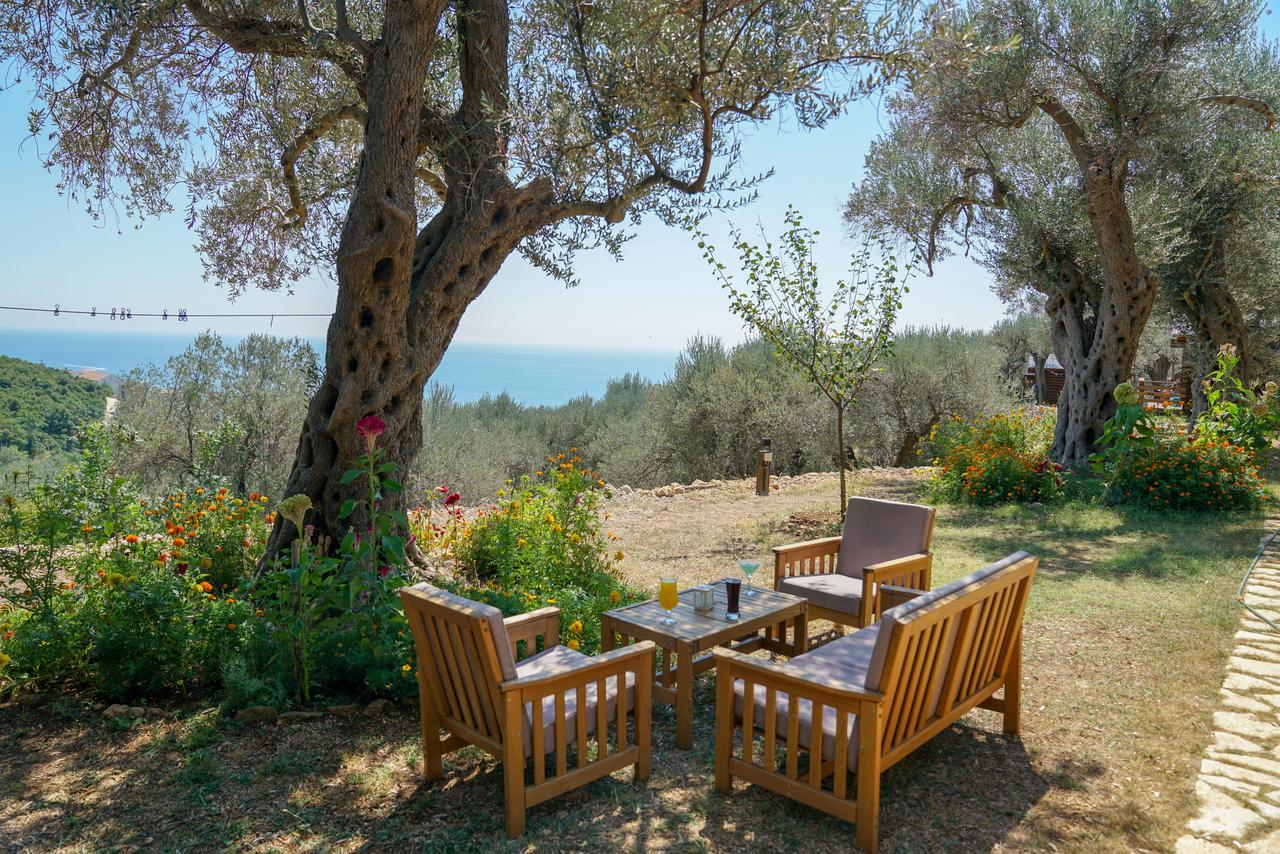 Holiday Park Olive Tree Ulcinj Exteriér fotografie