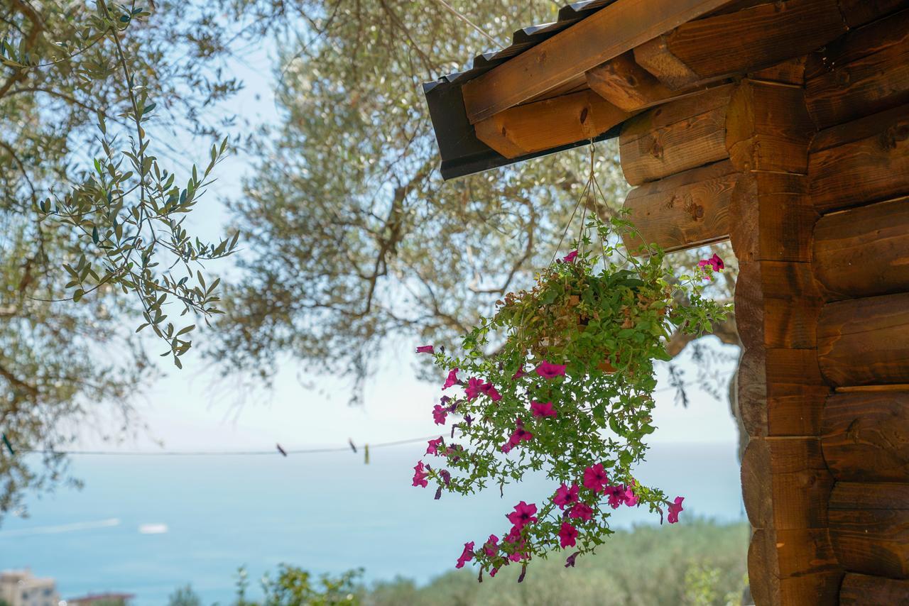 Holiday Park Olive Tree Ulcinj Exteriér fotografie